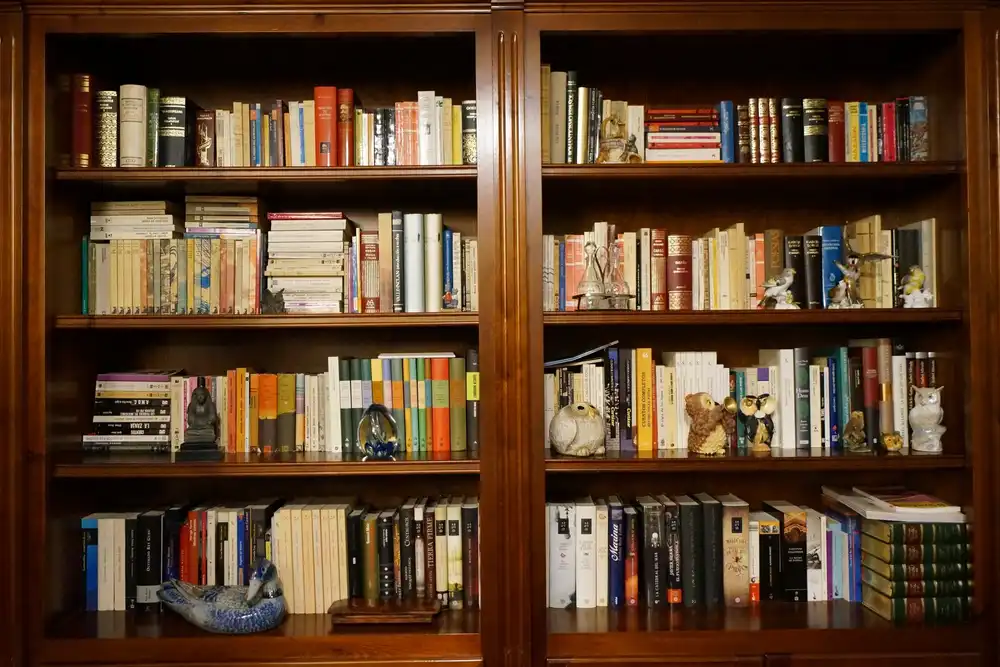 A dark wooden bookcase with four shelves of books and a few small owl and bird figures