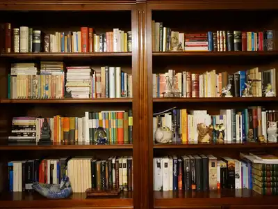 A dark wooden bookcase with four shelves of books and a few small owl and bird figures